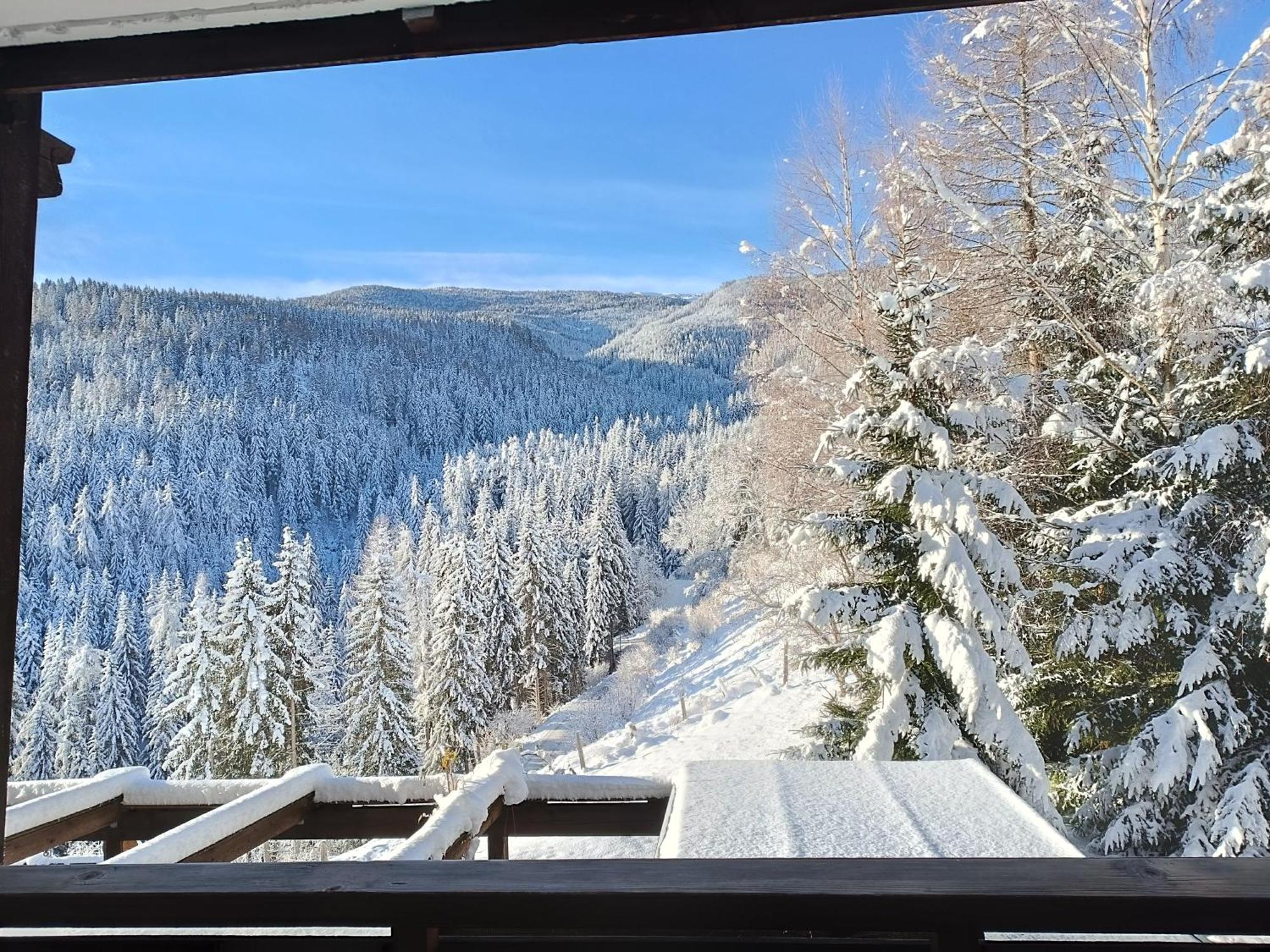 Bergkristall Ruhe Und Aussicht Auf 1100M Sankt Lorenzen ob Murau Εξωτερικό φωτογραφία